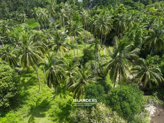 🌴 Terreno en venta – Srithanu, Koh Phangan 🌴