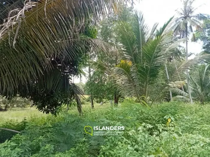 समतल भूमि जिसमें अच्छा पहुंच है - अंतिम भूखंड