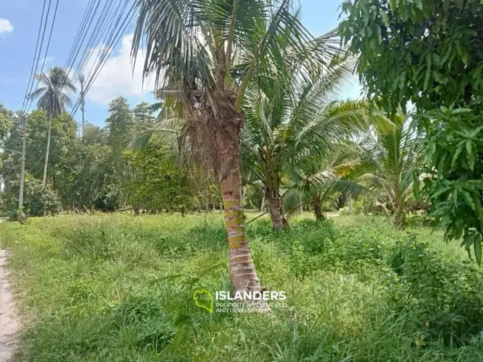 समतल भूमि जिसमें अच्छा पहुंच है - अंतिम भूखंड