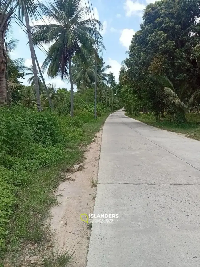 समतल भूमि जिसमें अच्छा पहुंच है - अंतिम भूखंड