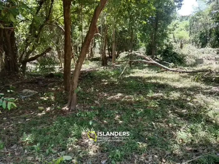 שטח שטוח עם גישה טובה (חלוקה בתהליך)