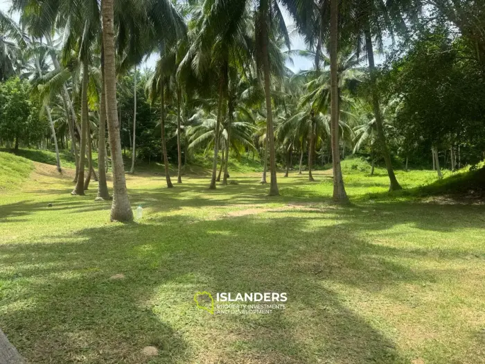 Muy bonito terreno – 3.8 millones de THB/RAI