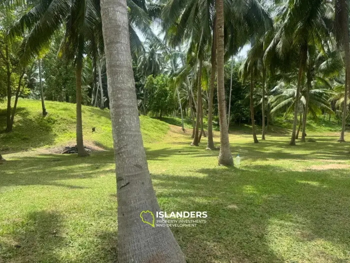Muy bonito terreno – 3.8 millones de THB/RAI
