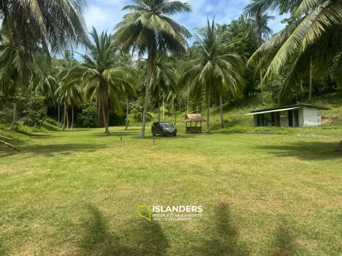 Muy bonito terreno – 3.8 millones de THB/RAI