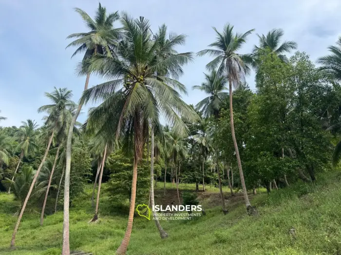 Muy bonito terreno – 3.8 millones de THB/RAI