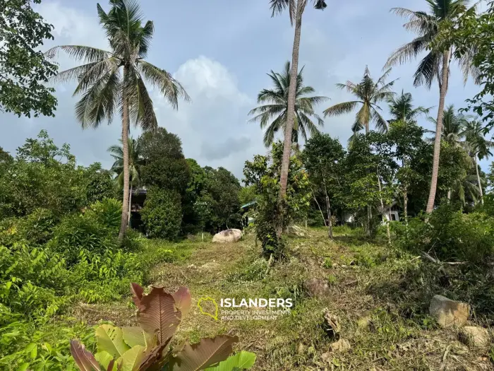 Muy bonito terreno – 3.8 millones de THB/RAI