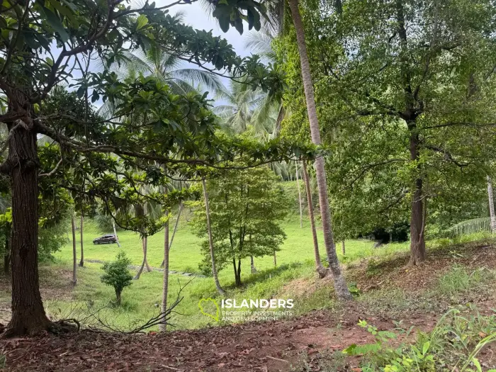 Muy bonito terreno – 3.8 millones de THB/RAI