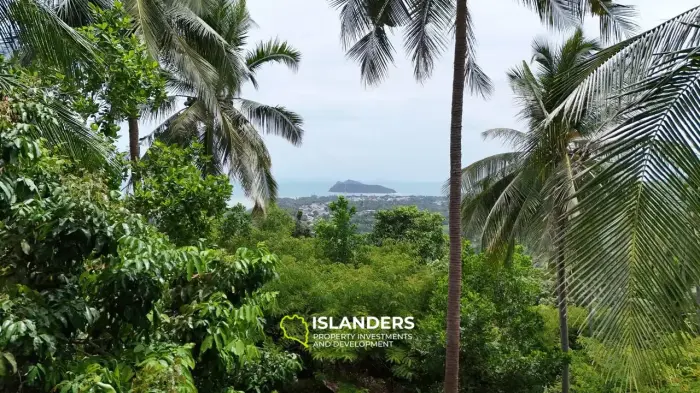 🌅 海の見える土地販売中 - サンセットサイド、コパンガン