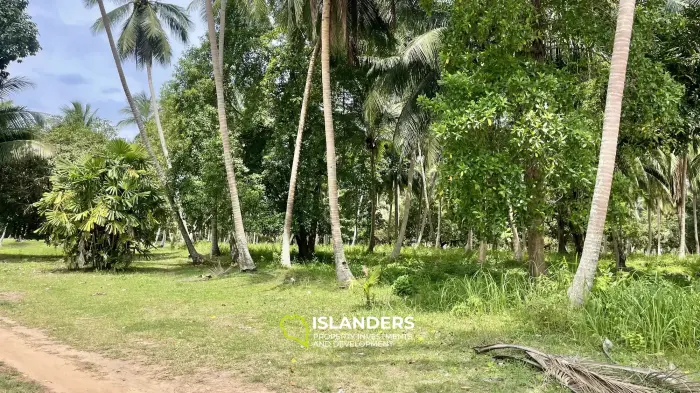Тропическая земля🌴 Готова к застройке
