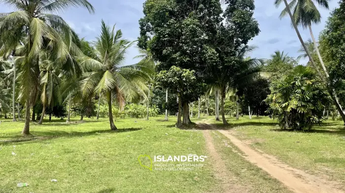 Тропическая земля🌴 Готова к застройке
