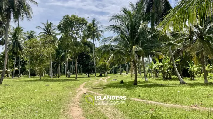 Тропическая земля🌴 Готова к застройке