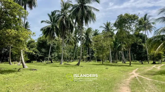 Тропическая земля🌴 Готова к застройке