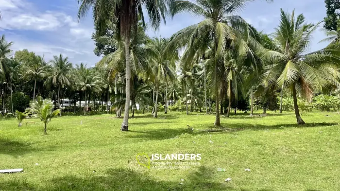 🌴אדמת שטוחה טרופית לפיתוח