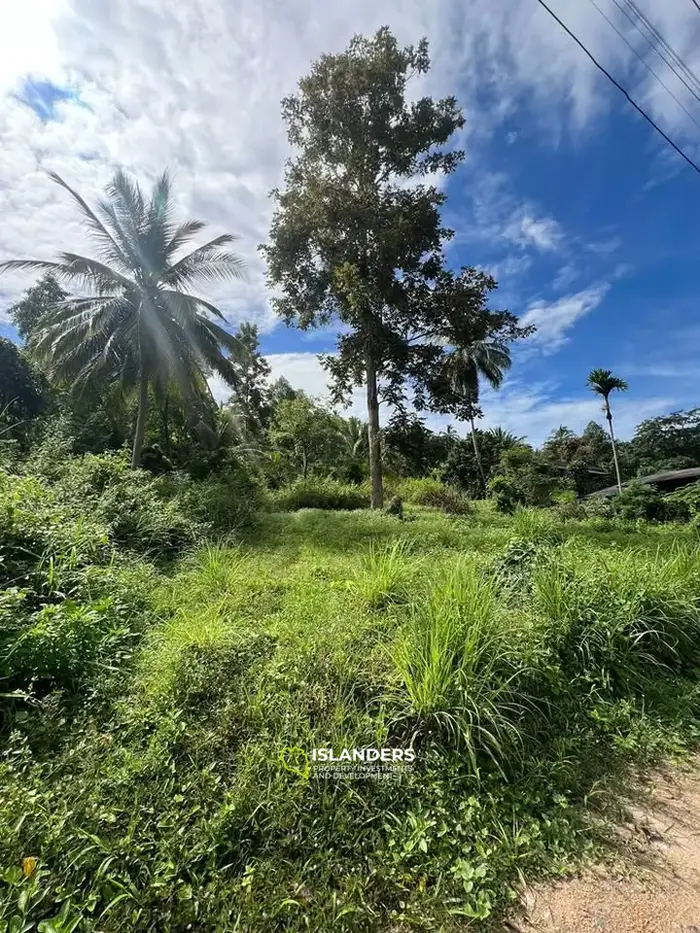 🌴 أرض مطلة على البحر 1.5 راي - موقع متميز في بانتاي، كوه بانغان