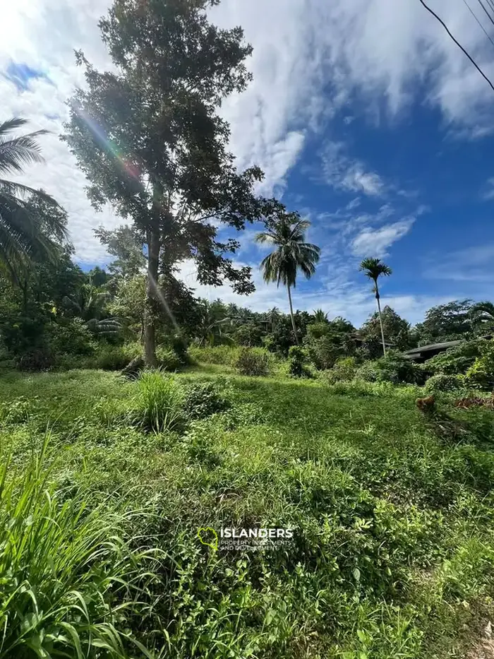 🌴 أرض مطلة على البحر 1.5 راي - موقع متميز في بانتاي، كوه بانغان