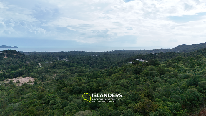 🌅 Terreno con Vista al Mar Prime de 13.5 Rai – ¡La oferta incluye infraestructura!