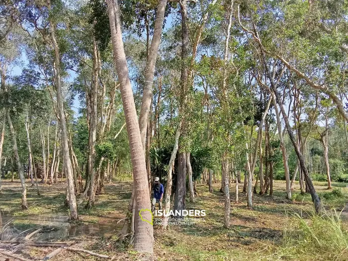 Terreno plano de 2,452 m² en Maduawan.