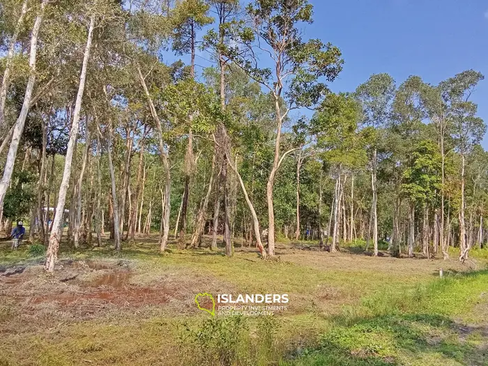 Terreno plano de 2,452 m² en Maduawan.
