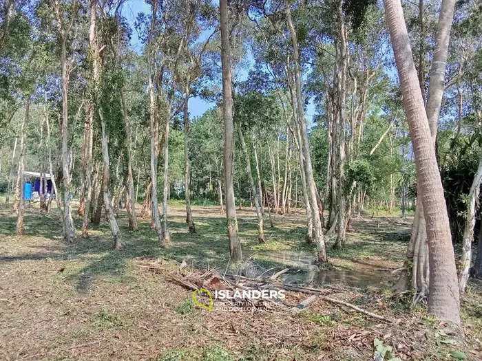 Terreno plano de 2,452 m² en Maduawan.