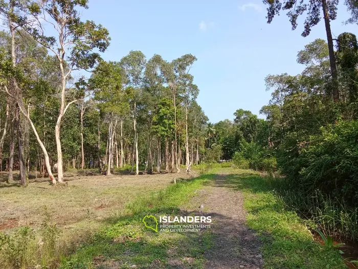 Terreno plano de 2,452 m² en Maduawan.