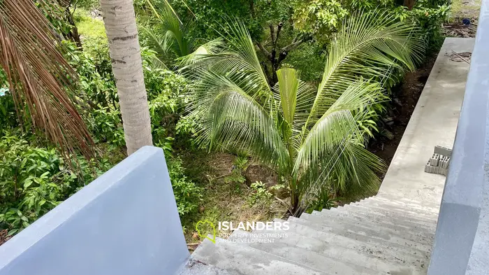 🏝️ واحتك الخاصة في كوه بانغان 🌿