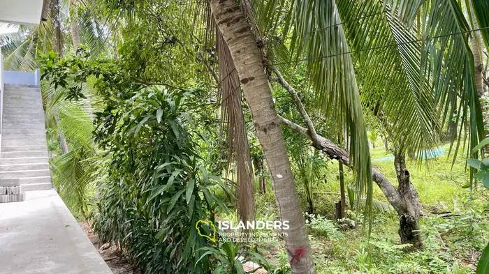 🏝️ واحتك الخاصة في كوه بانغان 🌿