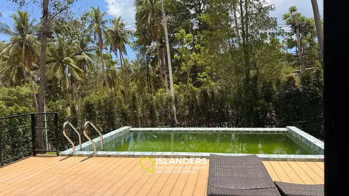 ✨ Hygge Villas – Skandinavische Seele in einem tropischen Paradies 🌴