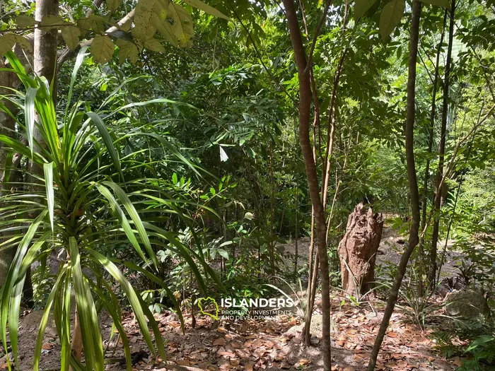 Casa de madera tradicional en un jardín impresionante.