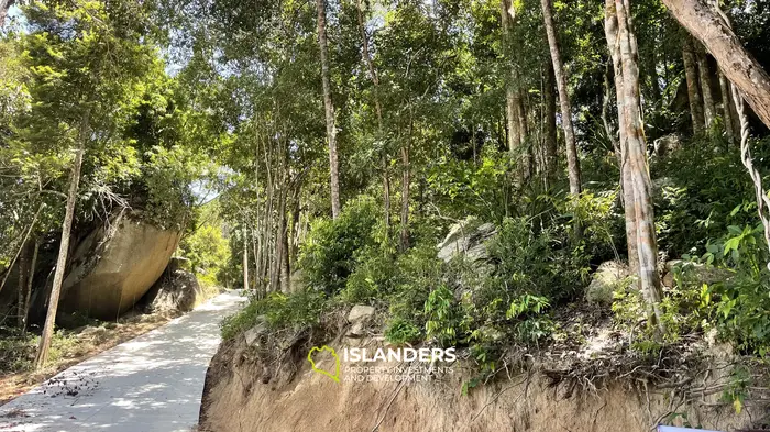 🌿 Ocean View Land for Sale – Koh Phangan 🌅