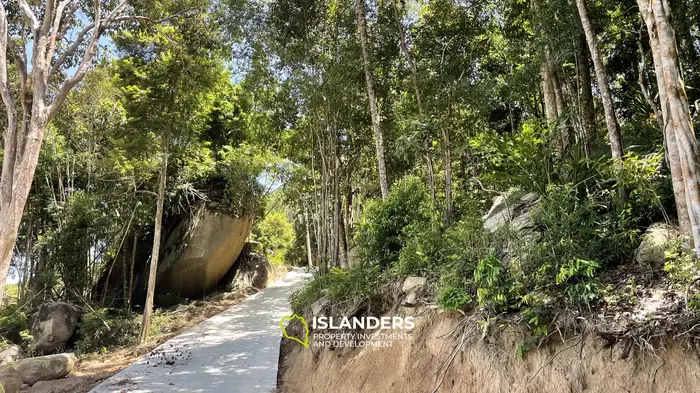 🌿 Ocean View Land for Sale – Koh Phangan 🌅