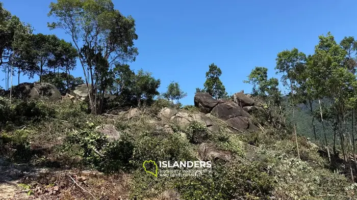 🌿 ที่ดินวิวทะเลขาย – เกาะพะงัน 🌅