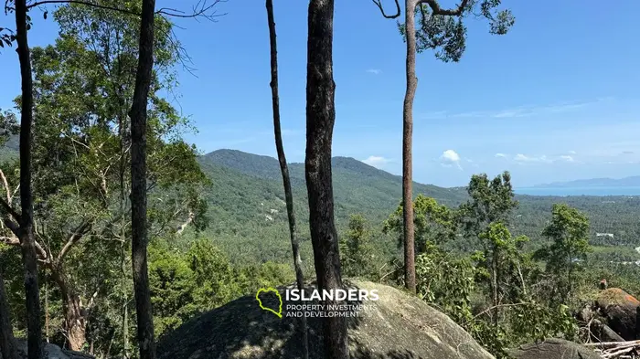 🌿 ที่ดินวิวทะเลขาย – เกาะพะงัน 🌅