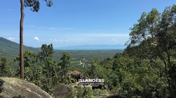 🌿 ที่ดินวิวทะเลขาย – เกาะพะงัน 🌅