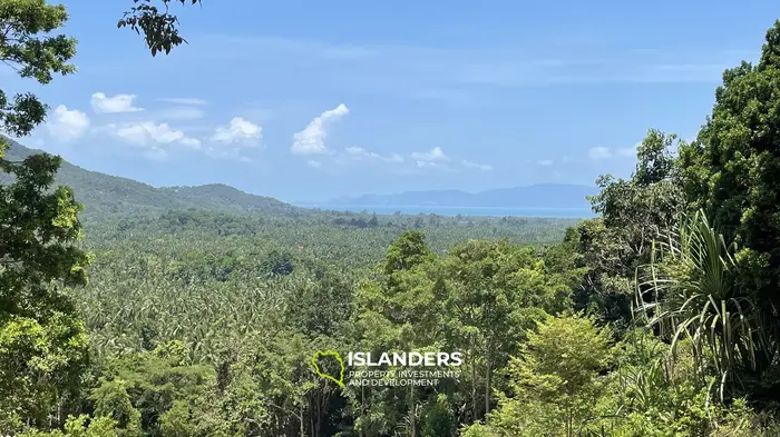 🌿 海と山の景色が楽しめる土地販売中 – コー・パンガン 🌅