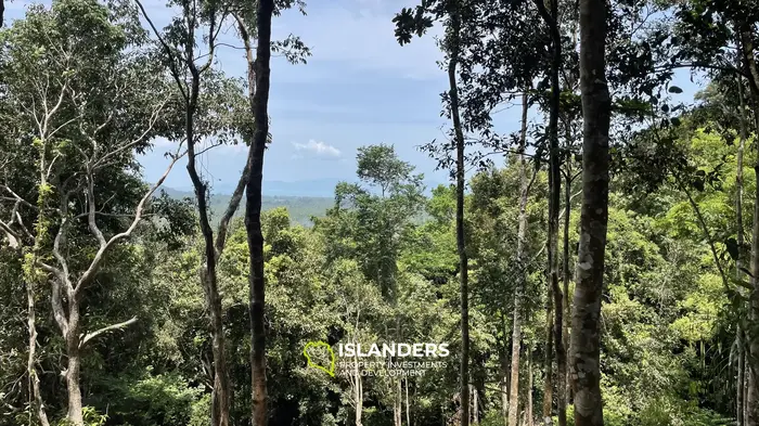 🌿 海と山の景色が楽しめる土地販売中 – コー・パンガン 🌅