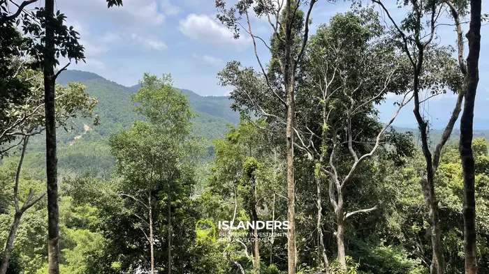 🌿 海と山の景色が楽しめる土地販売中 – コー・パンガン 🌅