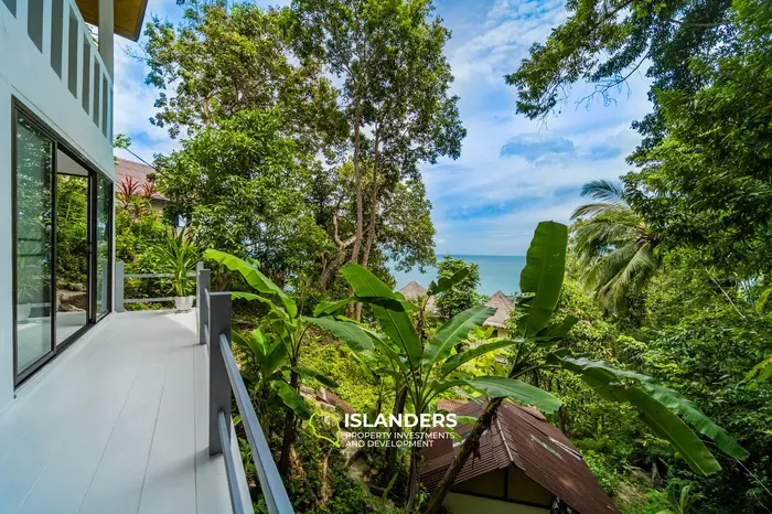 🌴✨ White Azure Villas – Luxury Oceanfront Living on Koh Phangan ✨🌴