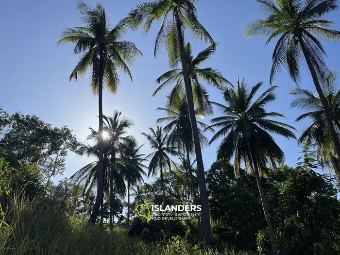 🌴 Sea View Land for Sale with Stunning Nature and Mountain Views – Koh Phangan