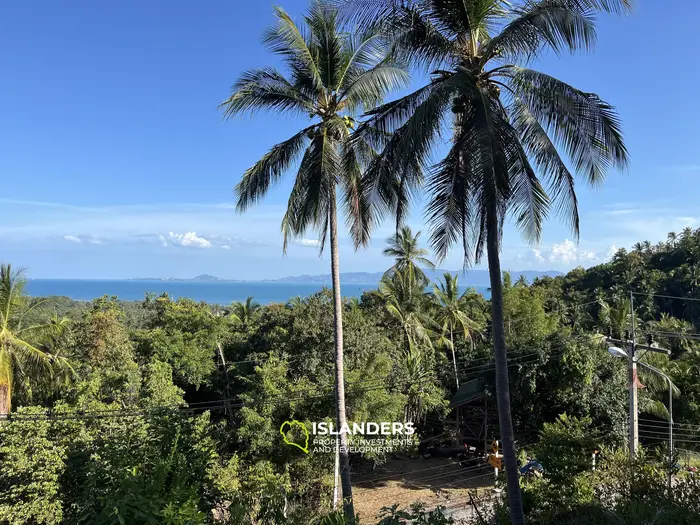🌴 壮大な自然と山の景色を望む海の見える土地販売中 - コー・パンガン