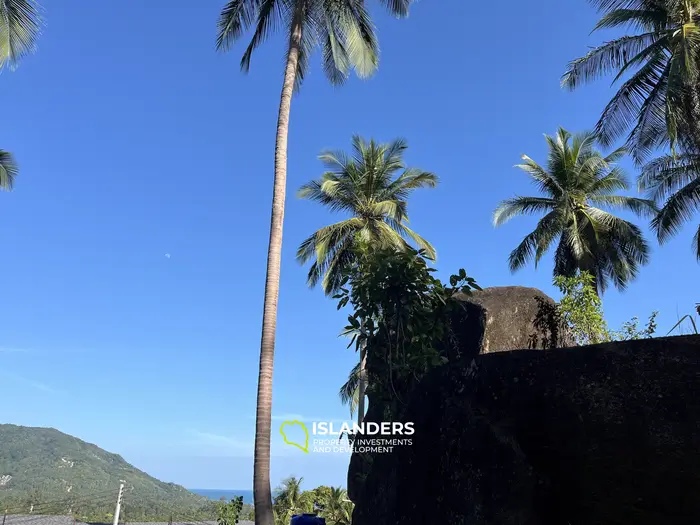 🌴 壮大な自然と山の景色を望む海の見える土地販売中 - コー・パンガン