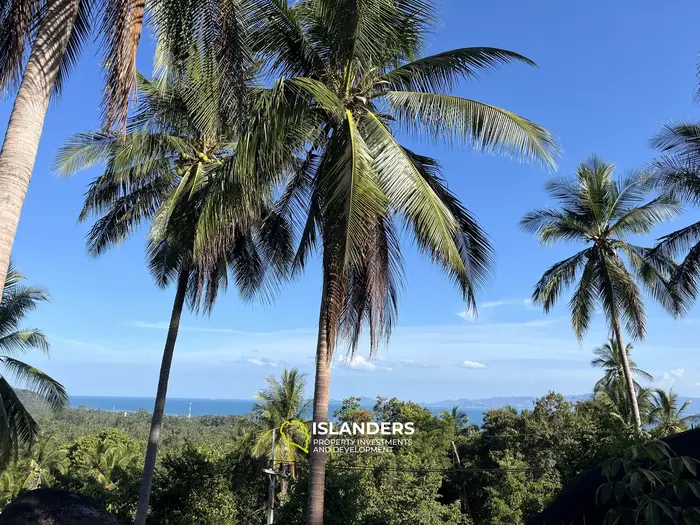 🌴 壮大な自然と山の景色を望む海の見える土地販売中 - コー・パンガン