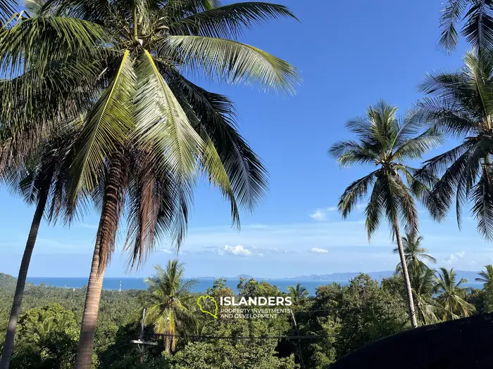 🌴 壮大な自然と山の景色を望む海の見える土地販売中 - コー・パンガン
