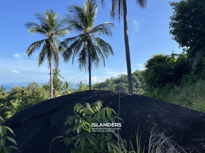 🌴 壮大な自然と山の景色を望む海の見える土地販売中 - コー・パンガン