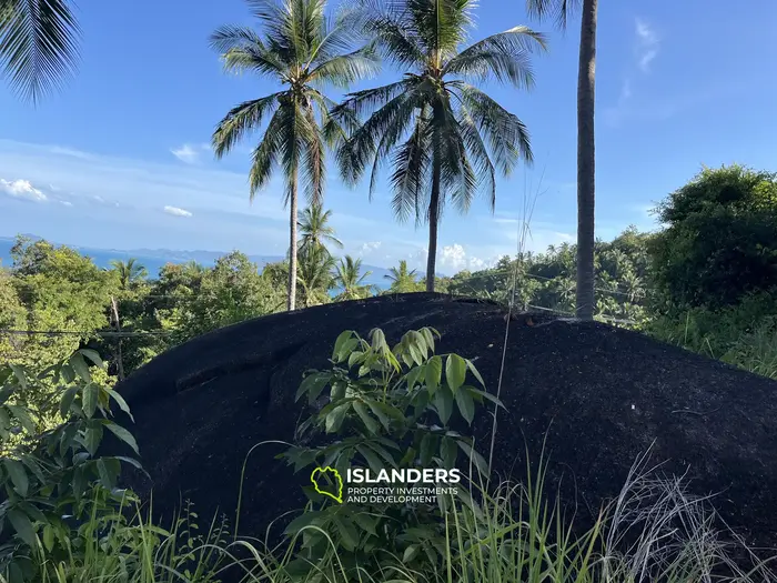 🌴 壮大な自然と山の景色を望む海の見える土地販売中 - コー・パンガン