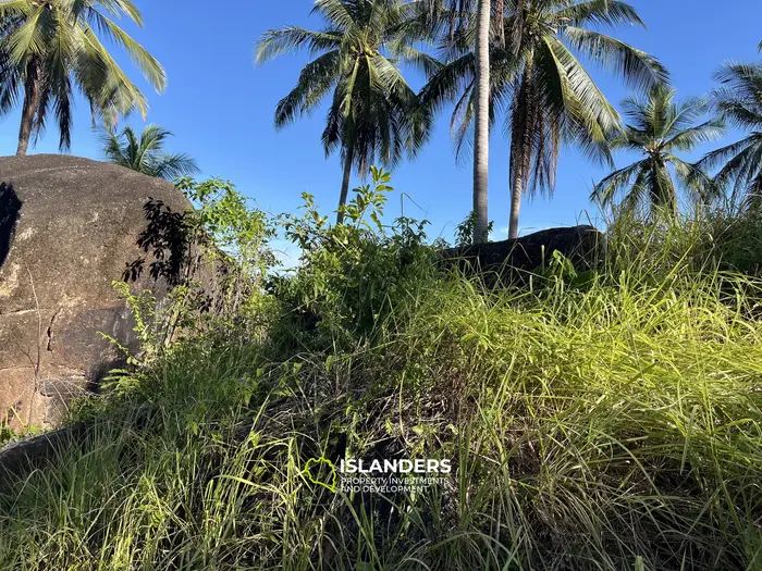 🌴 壮大な自然と山の景色を望む海の見える土地販売中 - コー・パンガン