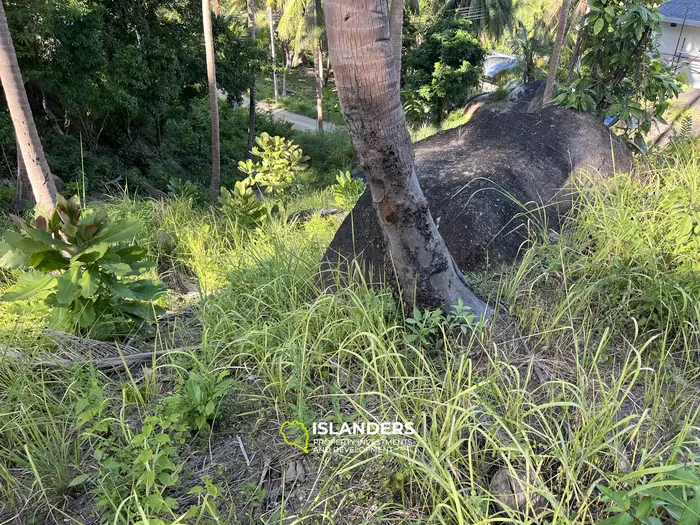 🌴 壮大な自然と山の景色を望む海の見える土地販売中 - コー・パンガン