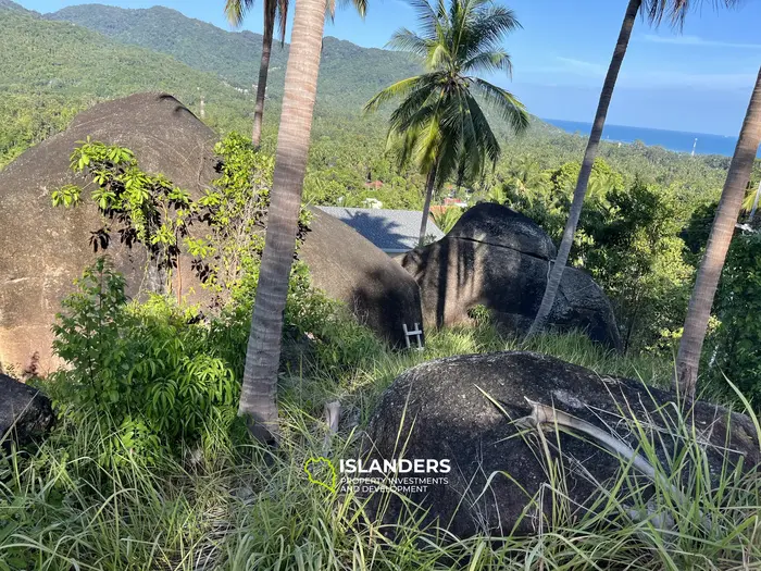 🌴 壮大な自然と山の景色を望む海の見える土地販売中 - コー・パンガン