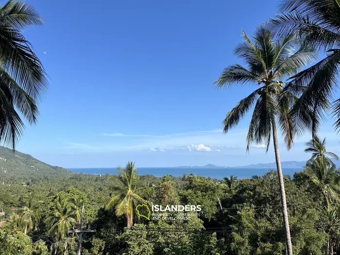 🌴 壮大な自然と山の景色を望む海の見える土地販売中 - コー・パンガン