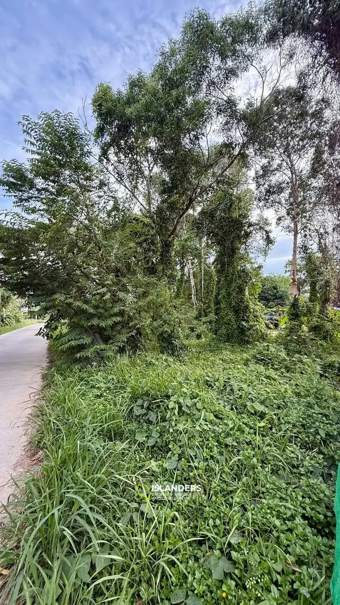 Prime Land for Sale – 496 sq.m, Ideal for Investment