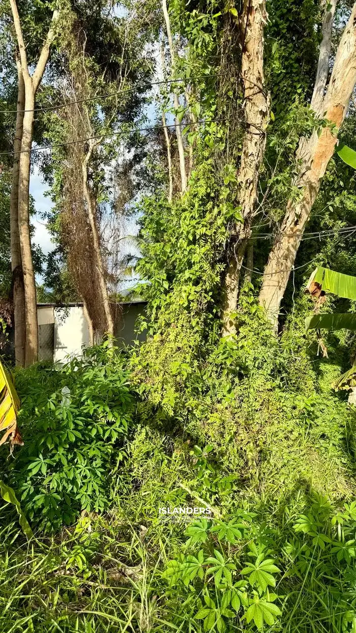 Prime Land for Sale – 496 sq.m, Ideal for Investment